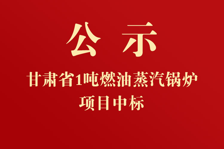 甘肅省人民政府外事辦公室采暖鍋爐項目中